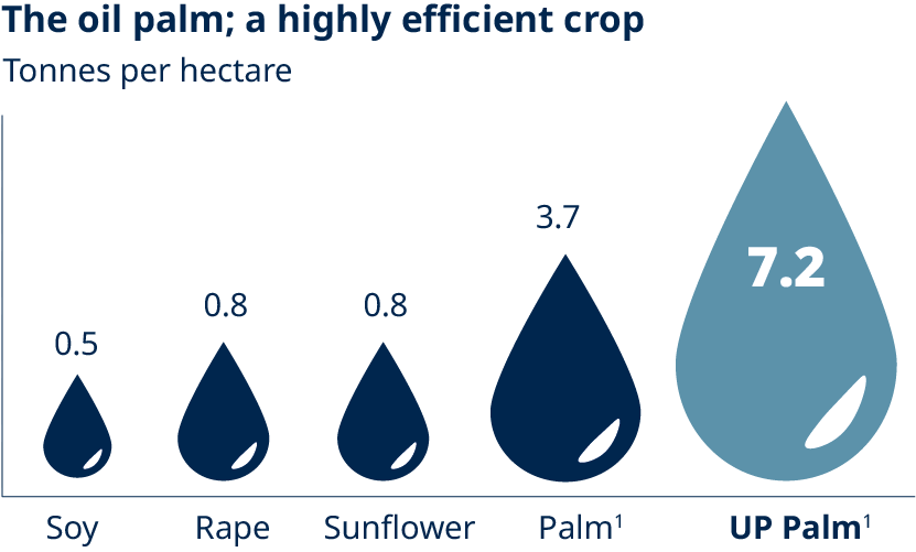 1) includes crude palm oil and palm kernel oil.