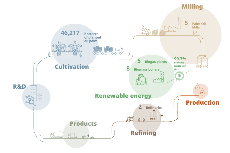 United Plantations' value chain: research and development, cultivation, milling, renewable energy, production, refining and products.